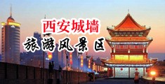 女生鸡巴被操网站中国陕西-西安城墙旅游风景区